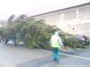 Filename=DSC00422.jpg
Filesize=135KB
Dimensions=800x600
Date added=Nov 23, 2011 DSC00422.jpg