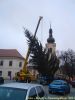 Filename=DSC00433.jpg
Filesize=104KB
Dimensions=450x600
Date added=Nov 23, 2011 DSC00433.jpg
