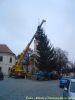 Filename=DSC00434.jpg
Filesize=102KB
Dimensions=450x600
Date added=Nov 23, 2011 DSC00434.jpg