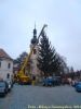 Filename=DSC00435.jpg
Filesize=104KB
Dimensions=450x600
Date added=Nov 23, 2011 DSC00435.jpg