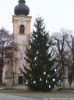 Filename=PB250232.jpg
Filesize=87KB
Dimensions=599x800
Date added=Nov 25, 2011 PB250232.jpg
