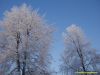 Filename=PC040027.jpg
Filesize=224KB
Dimensions=800x600
Date added=Jan 06, 2011 PC040027.jpg
