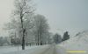 Filename=PC040045.jpg
Filesize=142KB
Dimensions=800x502
Date added=Jan 06, 2011 PC040045.jpg